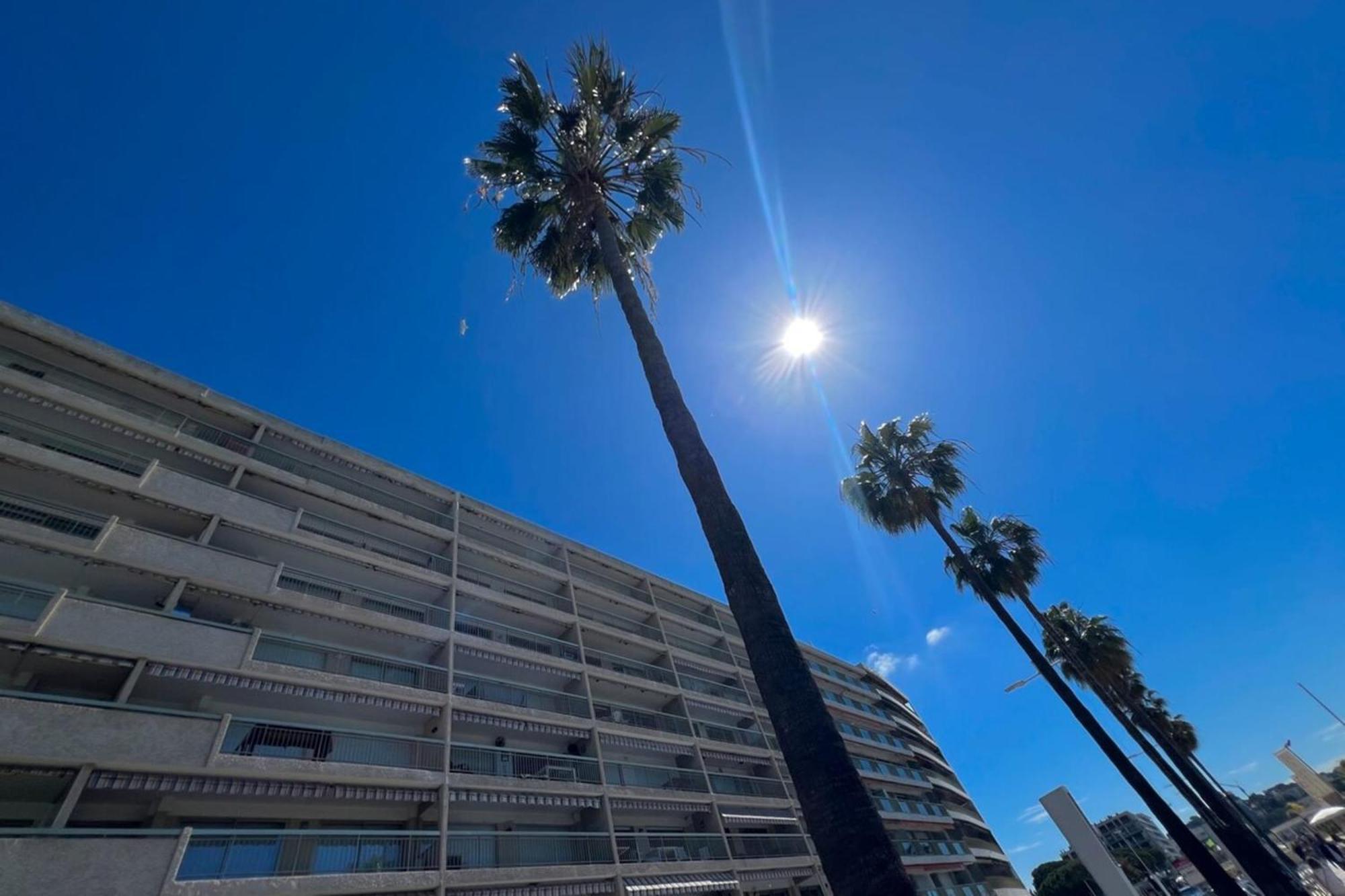 Apartment Les Pins - Sea View - 4 People - Parking